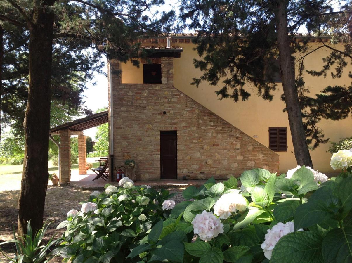Agriturismo Fattoria Il Piano - Casa Tosca - San Gimignano Ngoại thất bức ảnh