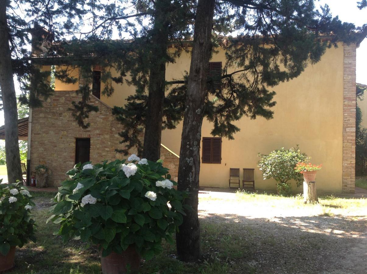 Agriturismo Fattoria Il Piano - Casa Tosca - San Gimignano Ngoại thất bức ảnh