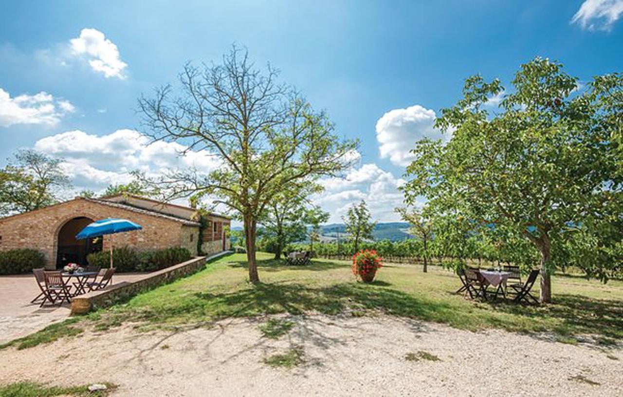 Agriturismo Fattoria Il Piano - Casa Tosca - San Gimignano Ngoại thất bức ảnh
