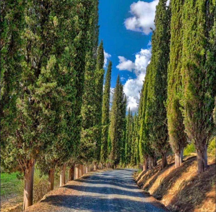 Agriturismo Fattoria Il Piano - Casa Tosca - San Gimignano Ngoại thất bức ảnh