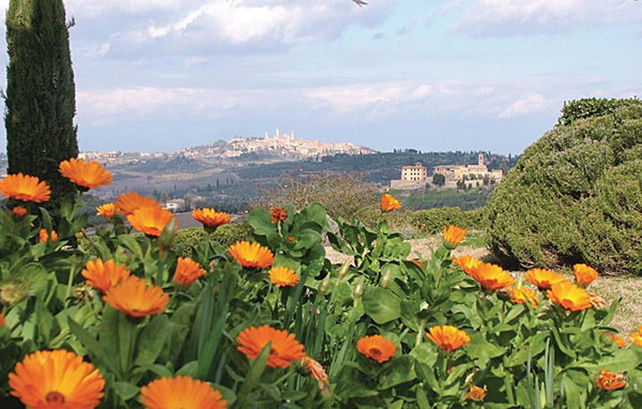 Agriturismo Fattoria Il Piano - Casa Tosca - San Gimignano Ngoại thất bức ảnh