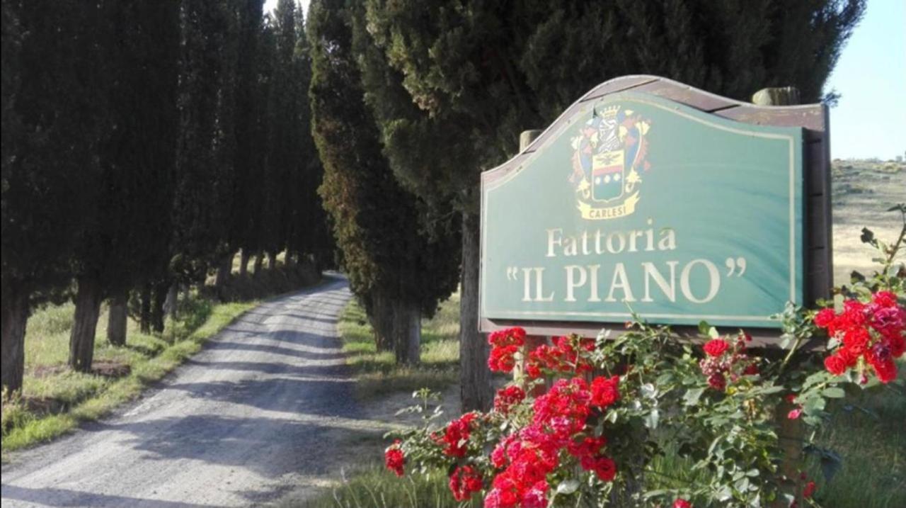 Agriturismo Fattoria Il Piano - Casa Tosca - San Gimignano Ngoại thất bức ảnh